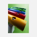 Brio - Musical Xylophone - 18m+