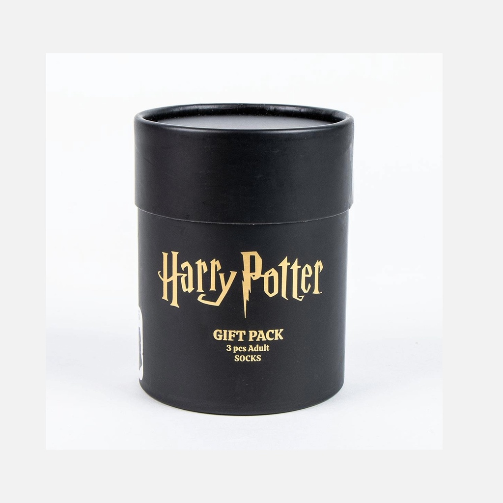 Cerda - Pack Chaussettes - 3 pièces - Harry Potter