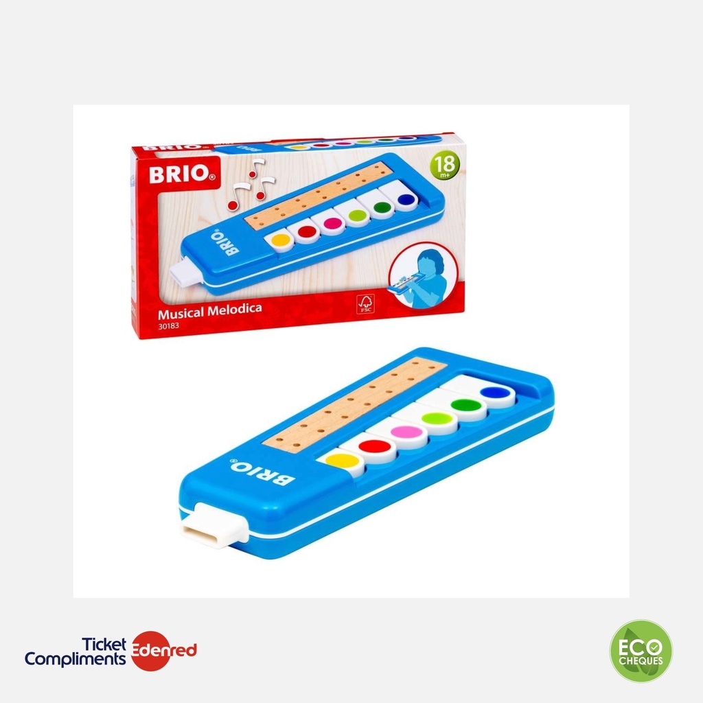 [30183] Brio - Musical Melodica - Hout - 18m+